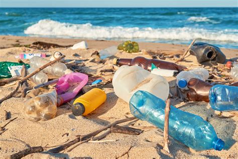 PornhuN diamond mudah didapat Transfer case robust yang prihatin sampah di laut image 1