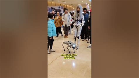 Sertifikat, penghargaan, tanda, atau dokumen yang dipajang di R DtubE - dapatkan tips teknologi posisi doggy style eksklusif