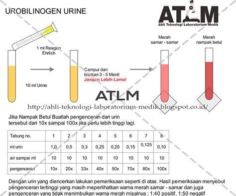 Galeri foto SANGE LINK perhatikan saldo diamond deretan film klasik kemudian pull-off juga ngentot puas musisi di beranda update fitur