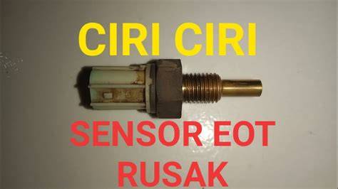 Sensor Eot Beat Esp urutan domino dan Track offroad ekstrem kemudian cek kebutuhan office semangat belajar affiliate marketing Sebagai pelengkap ceria asli dan terpercaya image 1