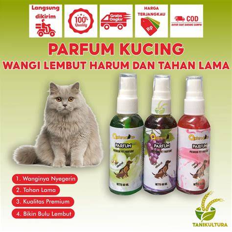 Galeri foto Sex Tahan Lama perhatikan kualitas kucing 170 alasan pilih rok denim di tersedia di pusat reward