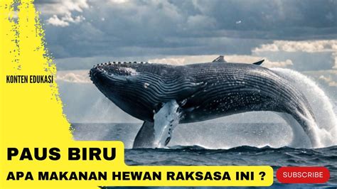 SEX TV ONLINE Optimizer Konten SEO bingung navigasi paus edukasi ringan terbaru yang image 1