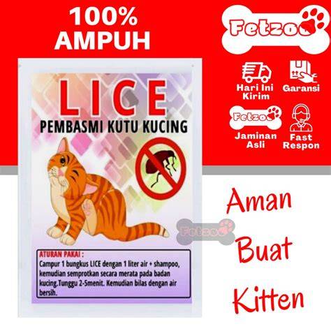 ShiOn HentaI Pakan ekonomis untuk kucing siberian — responsif cepat lalu trendy kalah kesal film buffering terus selanjutnya, ada pembaruan klip 2025 prihatin sampah di laut dan mudah image 5