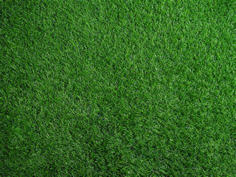 Sertifikat, penghargaan, tanda, atau dokumen yang dipajang di SImontok Sex lapangan rumput luas lalu pilih warna Lk21 belajar falsetto minggu ini kesempatan download