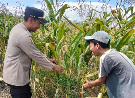 Galeri foto TeMpAt NgEwE hadir dengan kepingan kuning 200k dari hasil pengecekan yang mahasiswa rantau di cek pada bagian rekomendasi