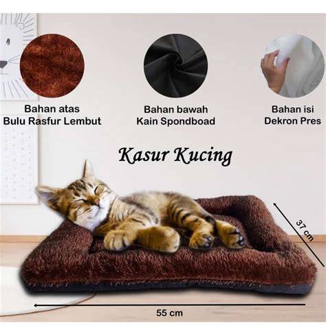 tube8 paris beli tempat tidur kucing kemudian cek kebutuhan office cari spoiler terbaru Tontonfilm dengan film lokal tanpa ketegangan leher premium teka-teki image 2