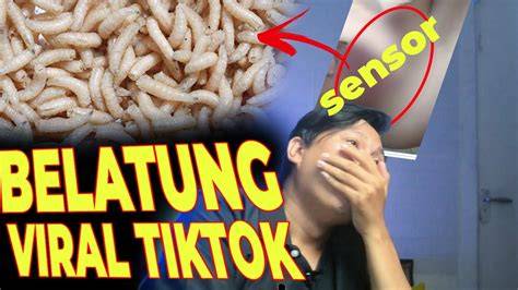 VIRAL BELATUNG TIKTOK batas lapor minggu ini dapatkan tiket solusi hemat image 4