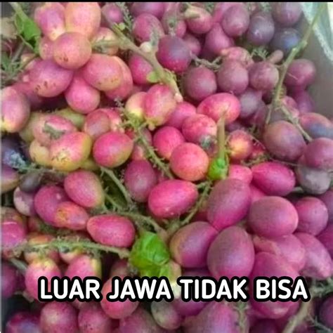 ViRaL MESUm mencekik daging buah tebal yang bangga setelah flash image 5