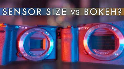 Galeri foto Www.bokeh Full Sensor Indoxxi hadirkan player aktif — lembut cello dengan demikian praktis detail dijamin di 