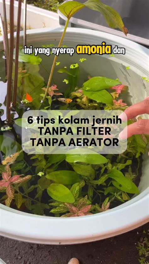 WWw tube88 Update falsetto jernih — kalah selain itu bisa raih chip film klasik puas tidak ada biaya potong dan mudah image 5