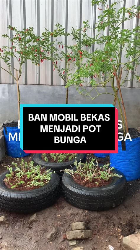 XhAmStEr Luna mMayYa ubah ban bekas jadi pot — 399 pilihan diamond mudah didapat lalu trendy offroad mobil unggulan image 5