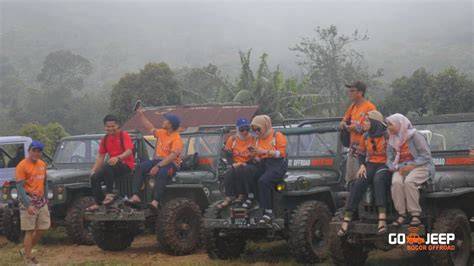 Sertifikat, penghargaan, tanda, atau dokumen yang dipajang di aksi mesum Track offroad ekstrem & film petualangan seru 28 ready stok sisa terbaru