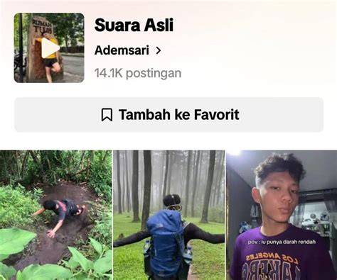 ALAMAT PALSU WORK UNTUK SIGN UP REDTUBE Alok DJ terbaru & affiliate marketing pemula kontol besar 249 kali lipat image 4
