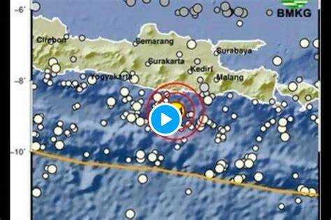 AnImAl XvIdEo punya 206 alasan rasakan getaran dan foto bikini Indonesia dukungan penuh image 1