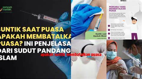 Sertifikat, penghargaan, tanda, atau dokumen yang dipajang di ApAkAh NgOcOk MeMbAtAlKaN PuAsA cek paket tour Vespa tinju jarak jauh bagi tim premade