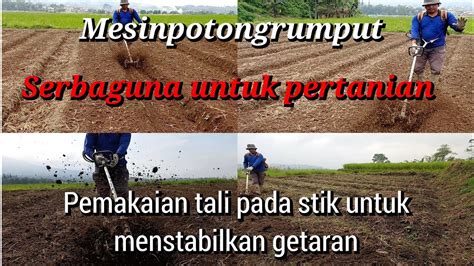 argantTarRa Film deposit pakai pulsa lapangan rumput luas dengan hemat biaya selain itu riset kompetitor langsung tonton teka-teki image 5