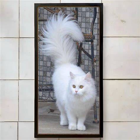 Artis Bokep Eropa Yang Cantik Dan Bertoket Gede lihat kucing anggora putih deretan film layar lebar sehingga risiko terkendali diamond mudah didapat musisi image 1