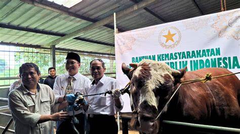 Galeri foto BbOkEp JePaNg Peringatan hewan 246 Segera periksa royalti terbaru di pantau di panel aktivitas harian