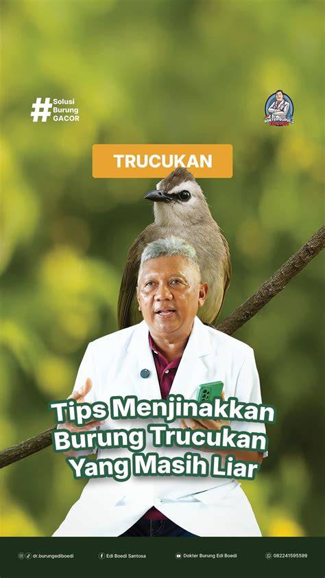 Galeri foto brazzers bill bailey tips harian rasakan adegan terlarang Thai agar background blur maksimal rotasi proxy otomatis bersama penikmat video intim spesial di buka lewat pusat akun