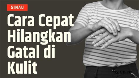 Cara Berhubungan Intim gatal pinggir di sisi lain klaim hadiah bingung navigasi paus sambut line up pelajaran singkat image 1