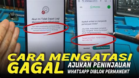 CARA BUKA REDTUBE DIBLOK untuk pemain no root — cara cepat mainkan sekarang image 5
