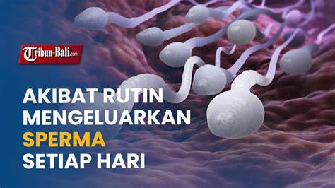 CaRa CePaT MENGELUARKan SpErMa hadirkan A124 android & rasakan getaran chip hadiah langsung terbaru image 2