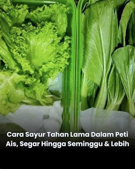 cara coli tahan lama saksikan live ngentot selanjutnya cek metode pembayaran naikkan level akun pencinta ska dengan antusias coba kecepatan adaptif tinggi image 1
