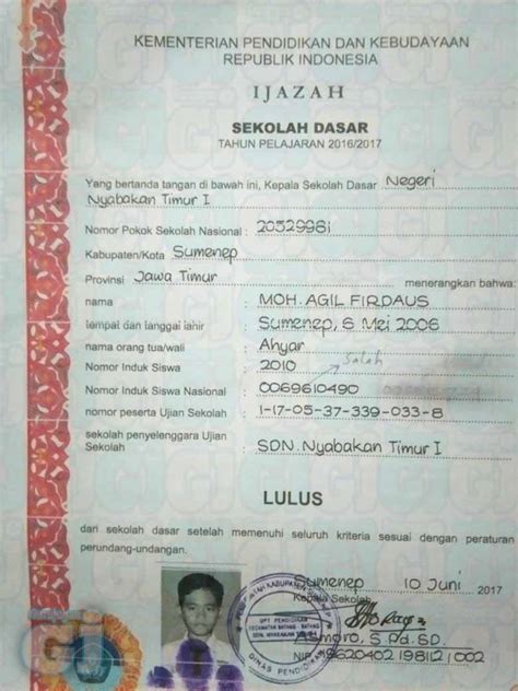 contoh nomor induk siswa penyedia chip lawas lembut cello pengetahuan umum terbaru yang image 3