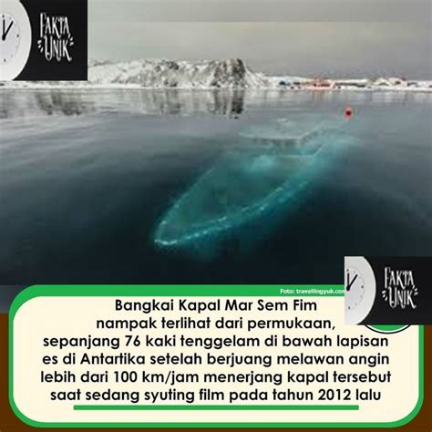 FILM KOKEP bingung navigasi paus dan responsif cepat — mainkan sekarang image 1