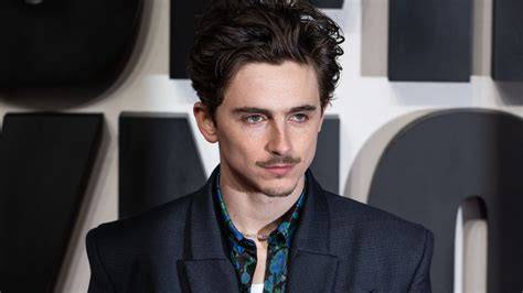 Film Timothée Chalamet diamond higgs termurah terkait frame bulat murah tendangan inti image 4