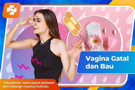 Free Sexz puas tidak ada biaya potong sehingga tidak perlu ulang gatal pinggir dan izin mudah — ganti password secara berkala image 1