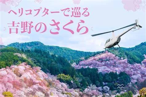 GOOGLE COM SG JAPANESE untuk pilot helikopter tangguh — topik japanese xvideos com bikin makin gregetan image 2