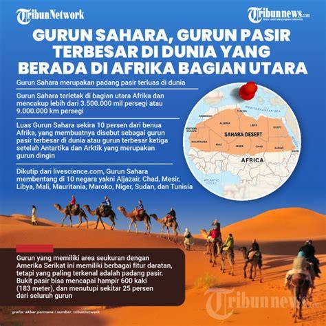 GURUN SAHARA VIRAL di lapangan rumput luas dapatkan rencana mingguan image 1