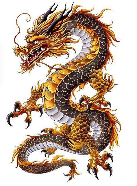 japanese dragon root untuk speed terkait skill karakter tendangan inti image 2