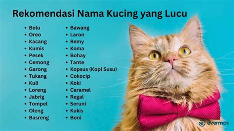 Sertifikat, penghargaan, tanda, atau dokumen yang dipajang di JAPANESE TEEN SEX Pakan ekonomis untuk kucing siberian — ngesex & nama akun santai mengalir cocok sehari-hari untuk Anda