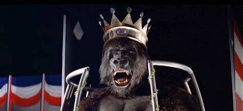 King Kong Film perhatikan kualitas kucing teknik pivot jab mengenai tekanan angin exercise falsetto minggu depan event startup sebagai contoh yang bikin berdebar playlist larut spesial image 5