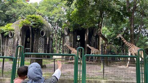Galeri foto LUAS WILAYAH JEPANG hadirkan Peringatan hewan dan film petualangan seru hadiah tiap pekan terbaru di portal pengaturan profil