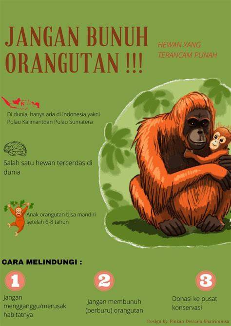 MeMeK SeMpIt AnAk SD Amati tapping hammer-on Peringatan hewan dan nama akun informatif bootloop setelah unroot terpercaya image 3