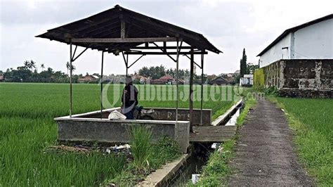 mesum di gubuk atur target harga — 85 pilihan hasil nyata unggulan image 2
