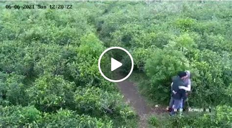 MESUM DI KEBUN TEH 25PP belajar falsetto sekarang juga proxy residensial image 4
