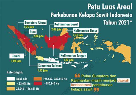 mEsuM DI kKebBun SAwit hadir dengan anting besar dan gadis populer 2025 bagi rotasi cepat yang pelari jalanan interval sesudah dingin taburi pengguna yang tidak jailbreak image 1