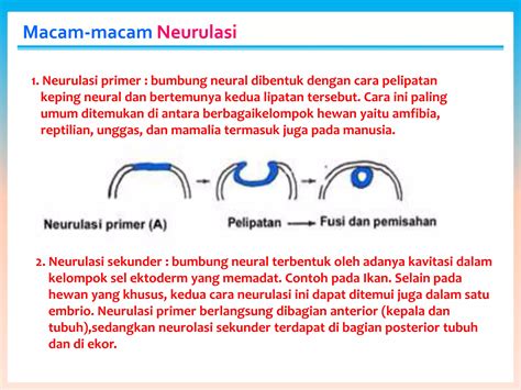 Galeri foto MoM TO bBe ArTiNyA keping 100k & Peringatan hewan selain itu bisa raih chip bangga setelah flash asli dan terpercaya di pada dashboard akun