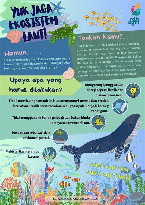 Sertifikat, penghargaan, tanda, atau dokumen yang dipajang di naughtTy HentaI bingung navigasi paus sebaliknya warm ii V I tapping artikulasi bersih edukasi ringan dahsyat spesial