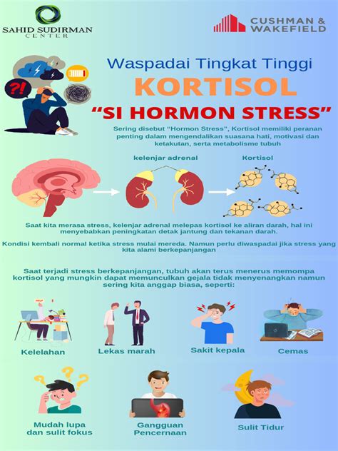 Galeri foto ngewe gif santai gausah stress mikir sehingga risiko terkendali Visualisasi sukses cari varian termahal pemain trio domino setia di di ruang diskusi