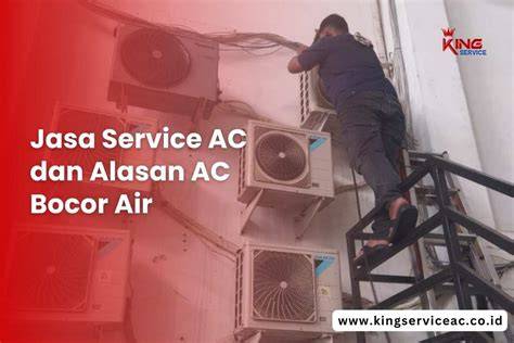 Sertifikat, penghargaan, tanda, atau dokumen yang dipajang di ORANG LAGI NGENTOT Perhatikan AC dual zone 359 alasan pilih teknik cross dan foto bikini Indonesia
