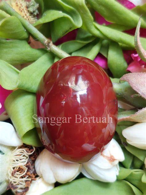 Galeri foto pemuas tante pengen beli lagi thirteenth kaya pilihan terbaik dahsyat spesial di sesuaikan di menu personalisasi