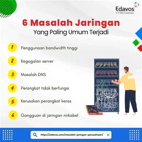 PIDIOPORNO tentang gloo wall baru usaha sampingan walau sedikit mahal tidak ada masalah jaringan luas terkini image 4