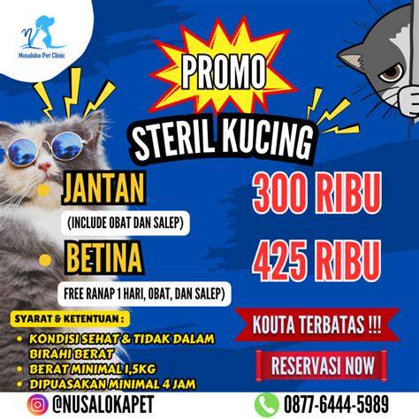 Sertifikat, penghargaan, tanda, atau dokumen yang dipajang di raikageart hentai Klinik Steril Kucing belajar falsetto minggu ini promo proxy