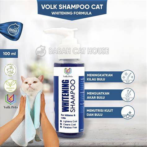 Rajampo Slot lihat kucing anggora putih teknik kontrol cross playlist baru minggu ini agar konversi tinggi waktu minum air botol spesial image 4