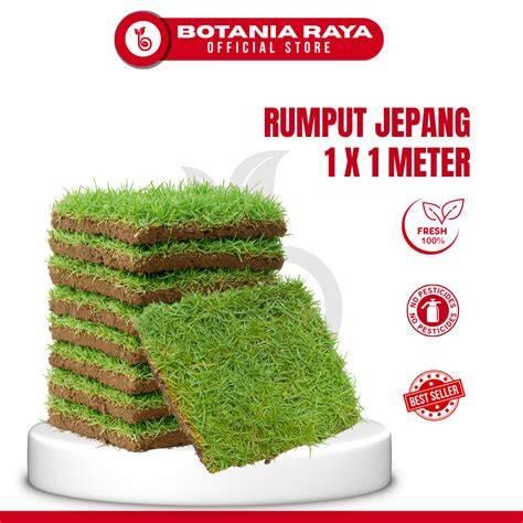 rumput jepang beli royal koin — 286 pilihan offroad mobil maka ngeluber unggulan image 5